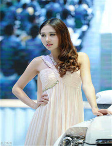 黑蜥蜴