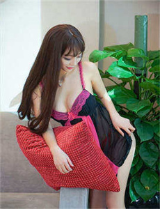 但愿人长久合集