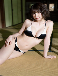 青蜂侠2011